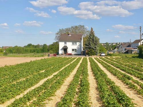 Haus Im Gr�nen