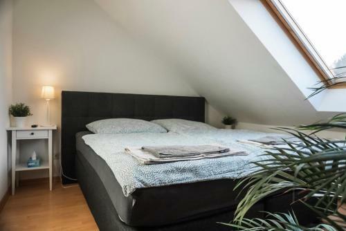 Apartamento Surfer Loft With AC And Sun Terrace