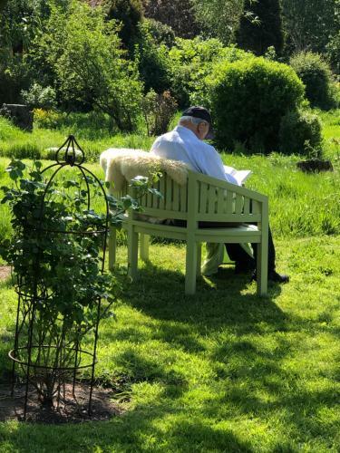 Apartamento Ferienwohnungen Bosbuell Huus