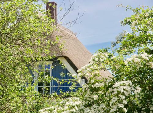 Villa Haus Meerblau