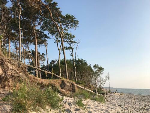 "kapit�nshaus" By Ferienhaus Strandgut