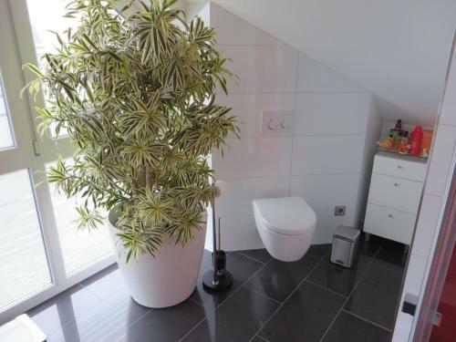 Apartment In Toller Lage Am Rande Des Ruhrgebietes