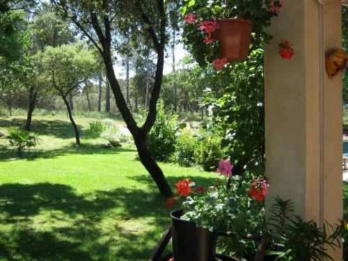Bed & Breakfast Villa L'ambiance