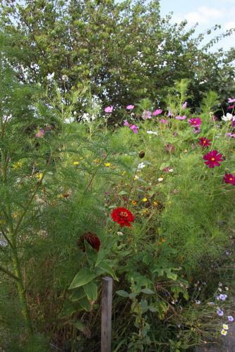 Bed & Breakfast Les Roulottes Viticoles
