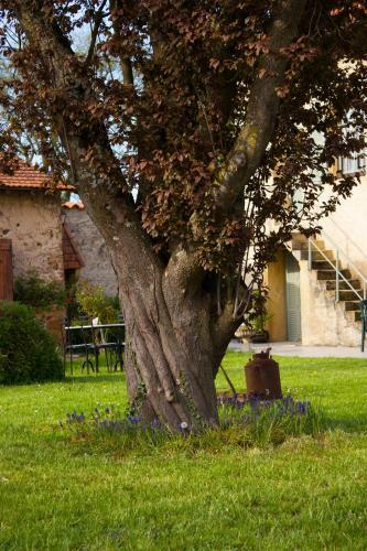 Bed & Breakfast Aux Ronzi�res