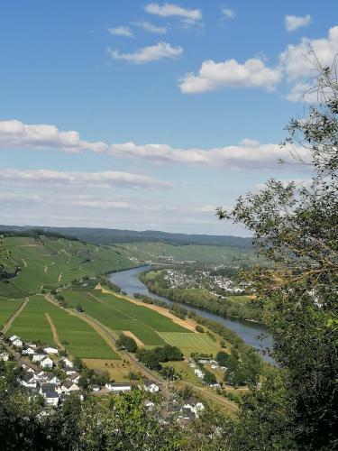 Apartamento Weingut & Gastehaus Andreas Erz
