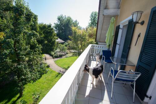 Apartamento Einzigartige Naturoase Im S�den Von Ingolstadt