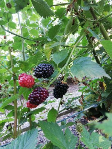 Apartamento Einzigartige Naturoase Im S�den Von Ingolstadt