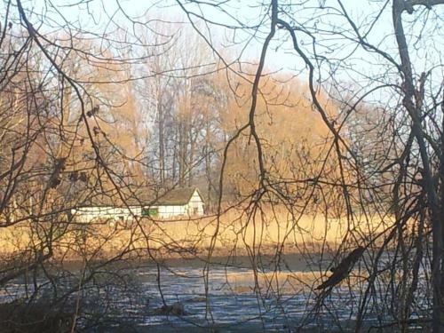 Apartamento Sonniges H�uschen Mit Garten