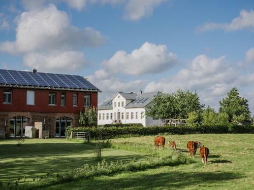Apartamento Gut Royum
