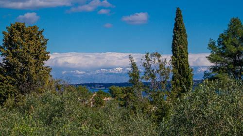 Vecchia Oliva,kuljica