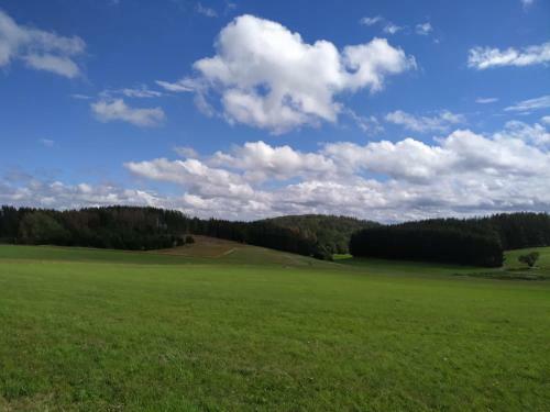 Apartamento Ferienhaus Winterberg