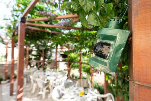 Comfy 1-bedroom Apartment Sonia