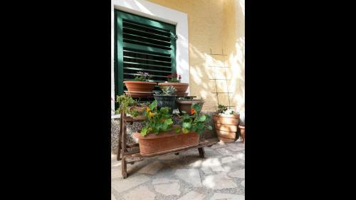 Comfy 1-bedroom Apartment Sonia