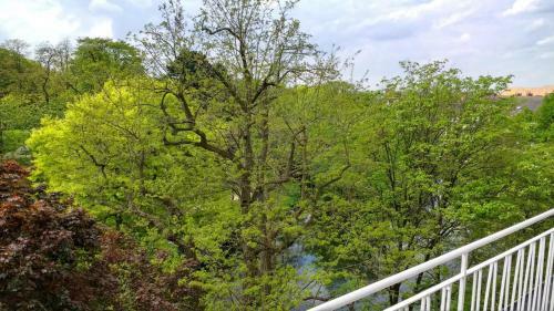 Apartamento Ferienwohnung Contrescarpe City