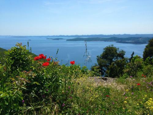 Apartamento Charming And Bright Apt,walking Distance To Beach