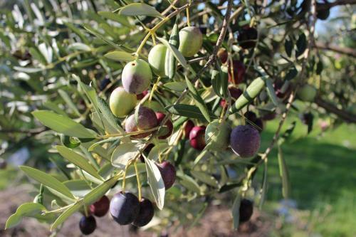 Apartamento Charming And Bright Apt,walking Distance To Beach