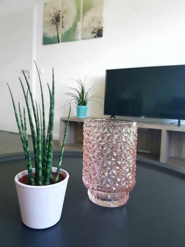 Apartamento Ferienwohnung City Connection