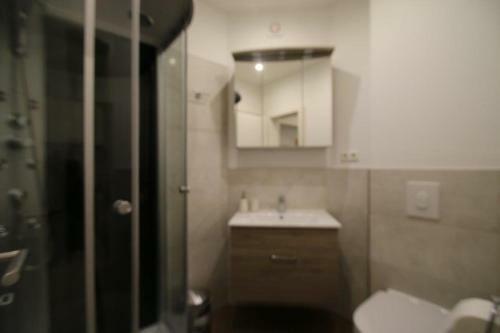 Altstadt Apartment