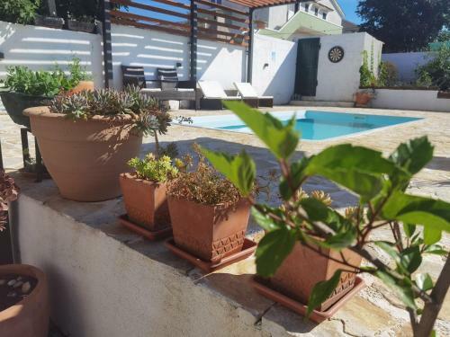 Kuca Za Odmor Laurus