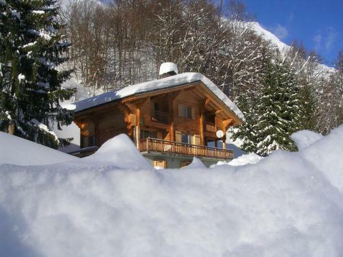 Le Flocon Des Aravis