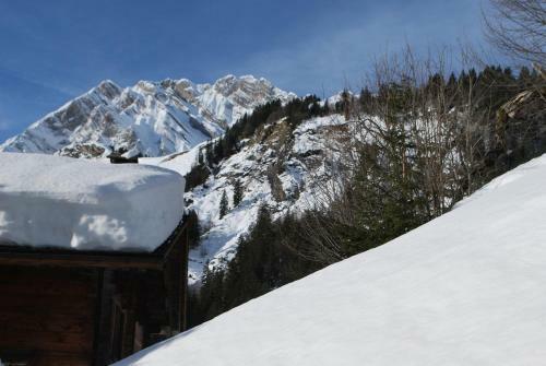 Le Flocon Des Aravis