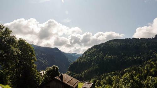 Le Flocon Des Aravis