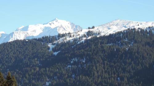 Chalet La Canop�e
