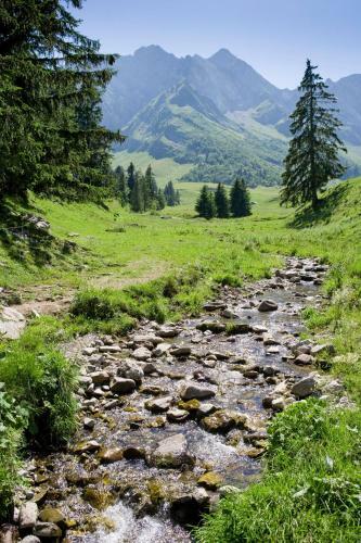 Apartamento Chalet La Giettaz