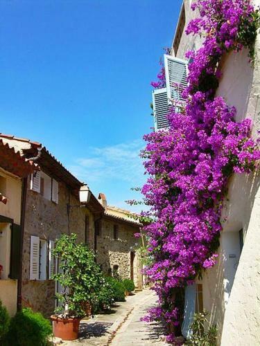 Apartamento Echapp�e Bleue Immobilier - Le Pigeonnier