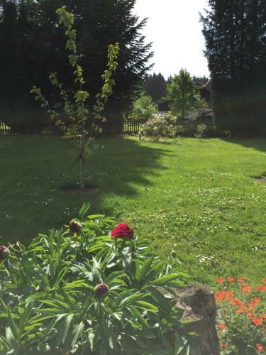 Apartamento Ferienhaus Harzpur