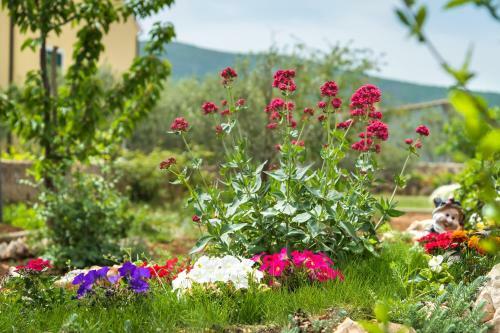 Hostal Guesthouse Miranda Np Krka