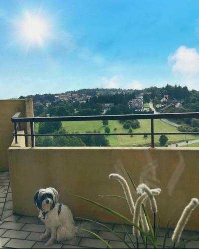 Apartamento App. 587 Panoramic Hotel Hohegei�