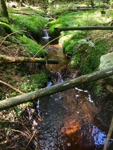 Apartamento Ferienwohnung Gipfelnest