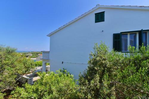 Apartmani Badurina - Maslina