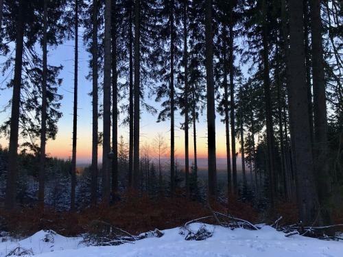 Apartamento Fewo Harzromantik