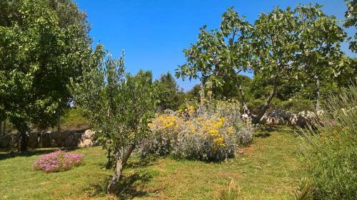 Apartments Kru?vina