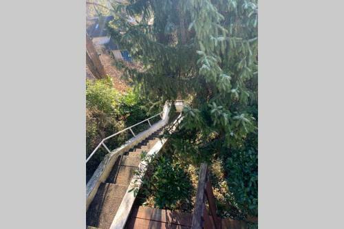 Apartamento Ferienwohnung Carmen Im Sch�nen Lahr