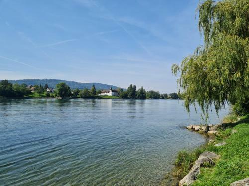Apartamento Ferienwohnung Rheinblick In B�singen Am Hochrhein