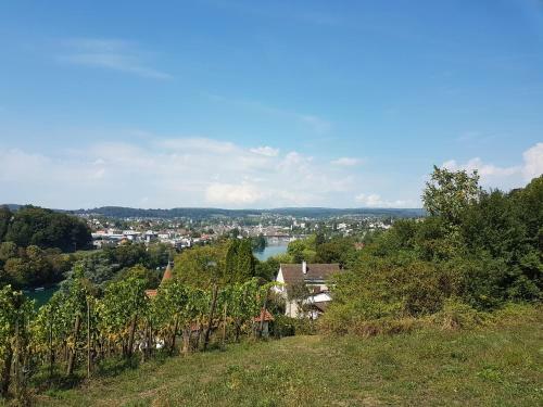 Apartamento Ferienwohnung Rheinblick In B�singen Am Hochrhein