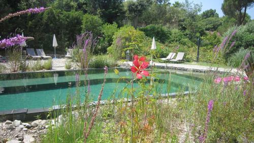 Aparthotel La Villa Les Hesp�rides