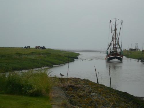 Apartamento Wrede-hof