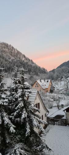 Apartamento Ferienwohnung Wolfsschlucht