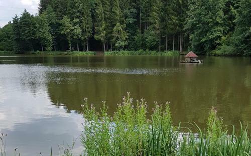 Apartamento Sunshine Bad Camberg