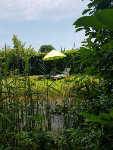 Apartamento Ferienwohnung Villa Flora Celle