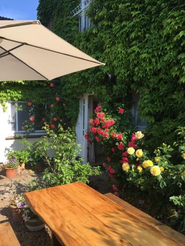 Apartamento Landhaus Am Deich