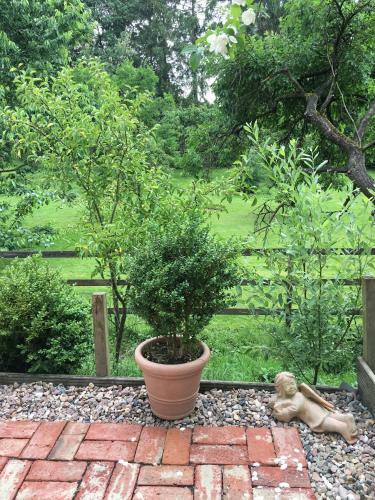 Apartamento Landhaus Am Deich