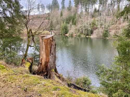 Apartamento Ferienwohnung Hohensee Eg