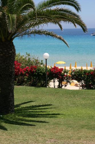 Hotel Free Beach Club