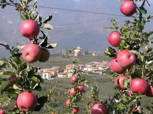 Apartamento Agritur Al Paradis